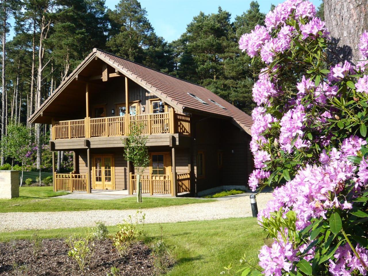 The Dorset Resort East Stoke  Zewnętrze zdjęcie