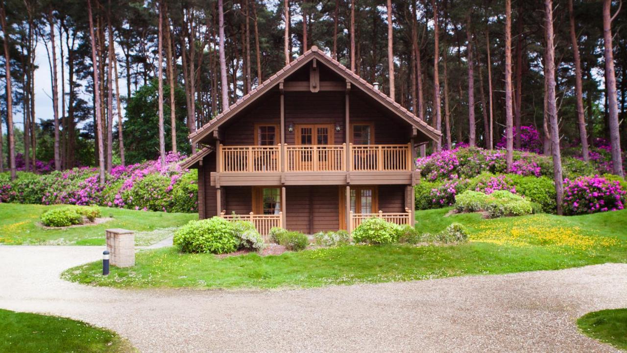 The Dorset Resort East Stoke  Zewnętrze zdjęcie